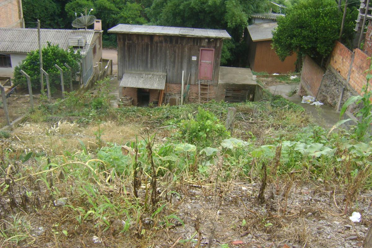 Terreno