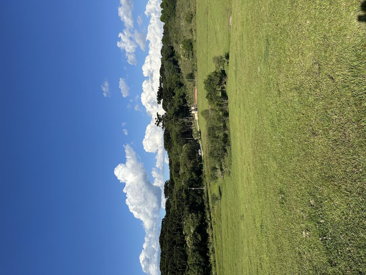 Chcara