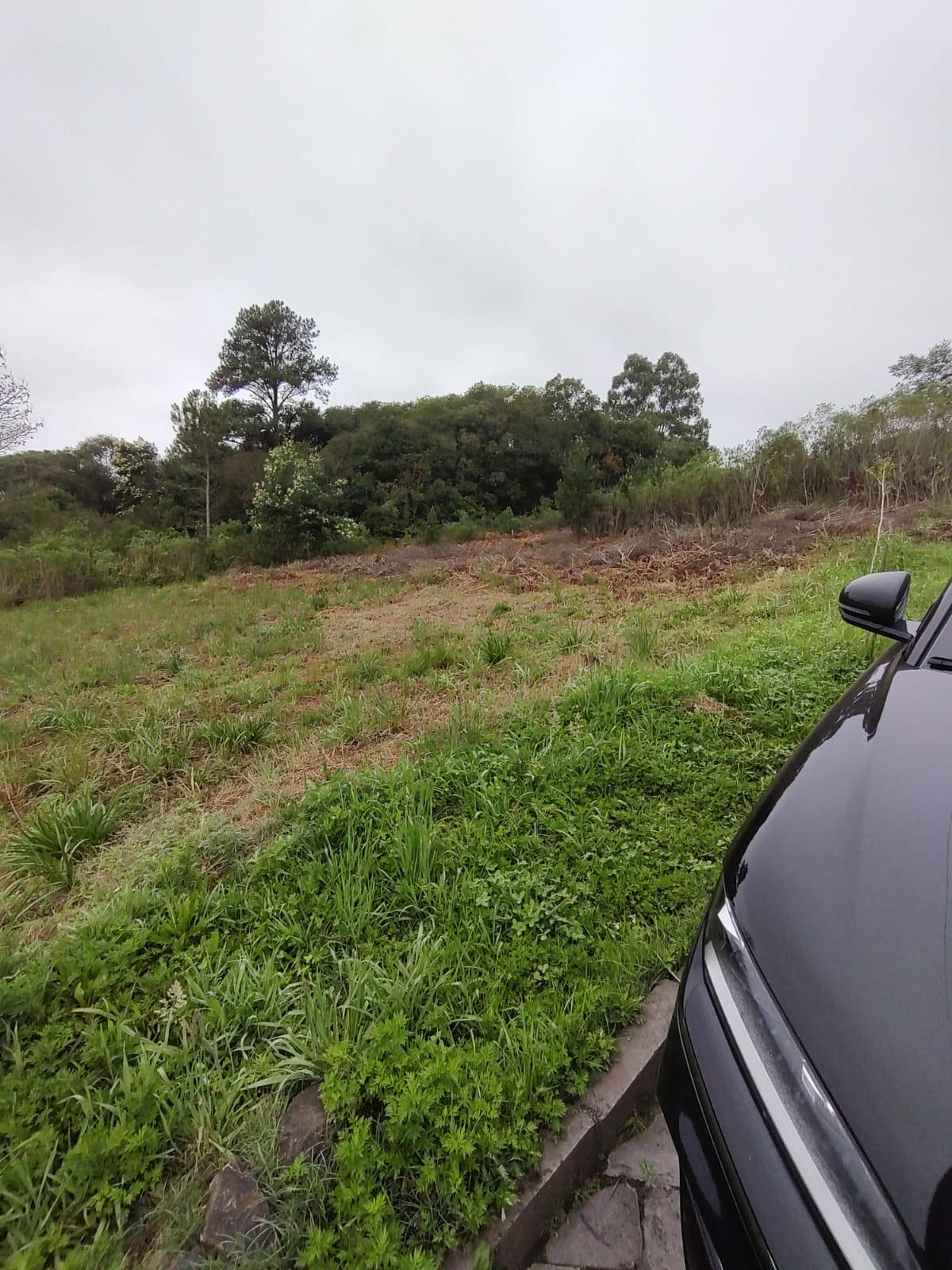 Terreno